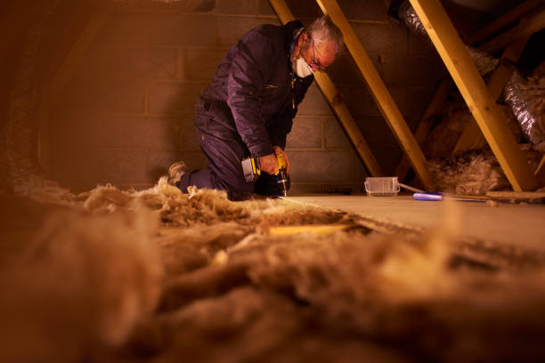 Best Insulation Installation Services in Hartselle, AL
